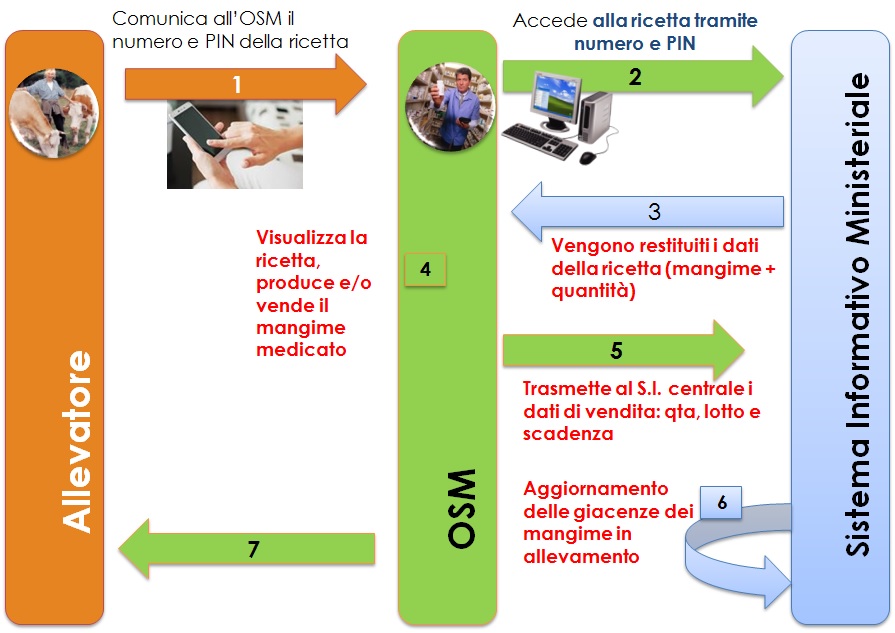 flusso_fornitura_mangimiMedicati.jpg