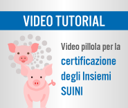 immagine video tutorial